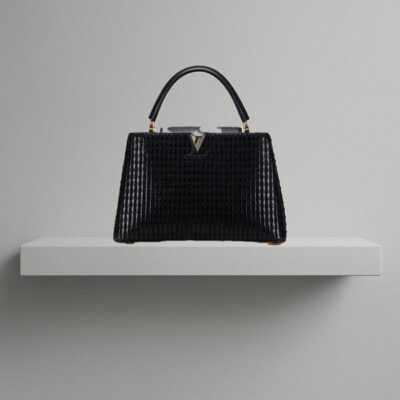 Louis Vuitton Tweed Capucines MM (2015)