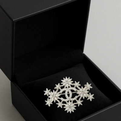 Chanel Star CC Brooch (2015)