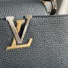 IMG_5665 Louis Vuitton Taurillon Infinity Chain Capucines MM (2025)