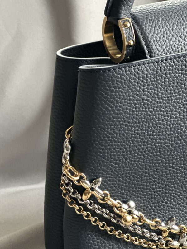 IMG_5667 Louis Vuitton Taurillon Infinity Chain Capucines MM (2025)