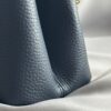 IMG_5673 Louis Vuitton Taurillon Infinity Chain Capucines MM (2025)