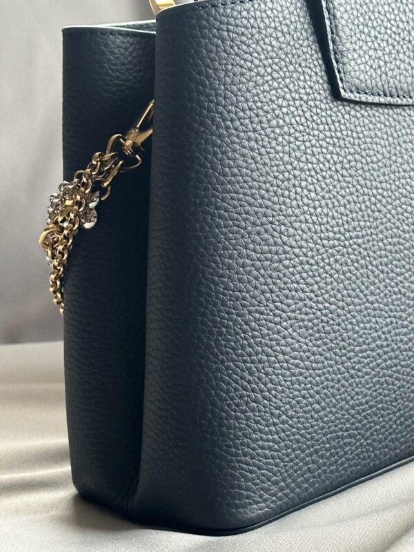 IMG_5676 Louis Vuitton Taurillon Infinity Chain Capucines MM (2025)