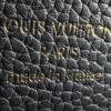 IMG_5690 Louis Vuitton Taurillon Infinity Chain Capucines MM (2025)