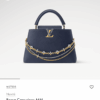 IMG_5692 Louis Vuitton Taurillon Infinity Chain Capucines MM (2025)