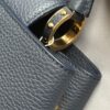 IMG_5717 Louis Vuitton Taurillon Infinity Chain Capucines MM (2025)