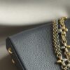 IMG_5718 Louis Vuitton Taurillon Infinity Chain Capucines MM (2025)