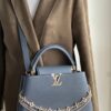IMG_5719 Louis Vuitton Taurillon Infinity Chain Capucines MM (2025)