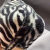 Fendi Zebra Printed Faux Fur Baguette (2000)