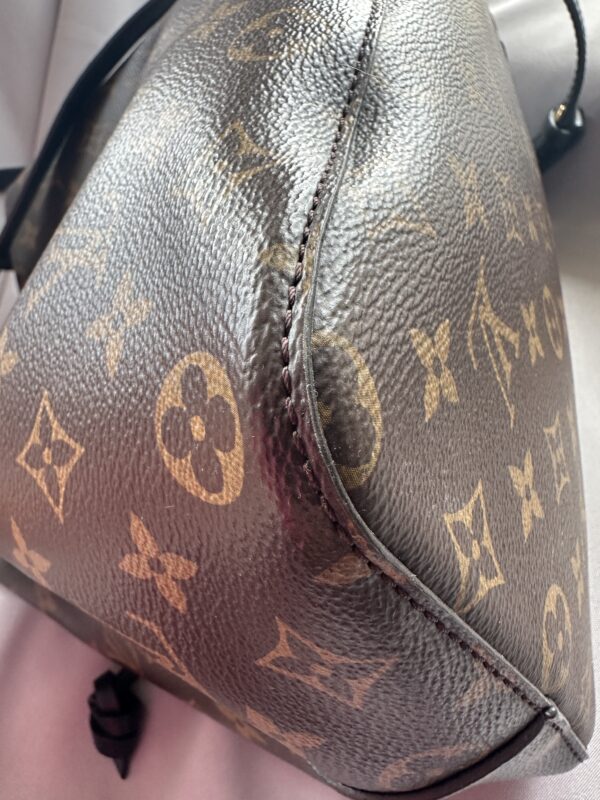 IMG_6308 Louis Vuitton NéoNoé MM (2019)