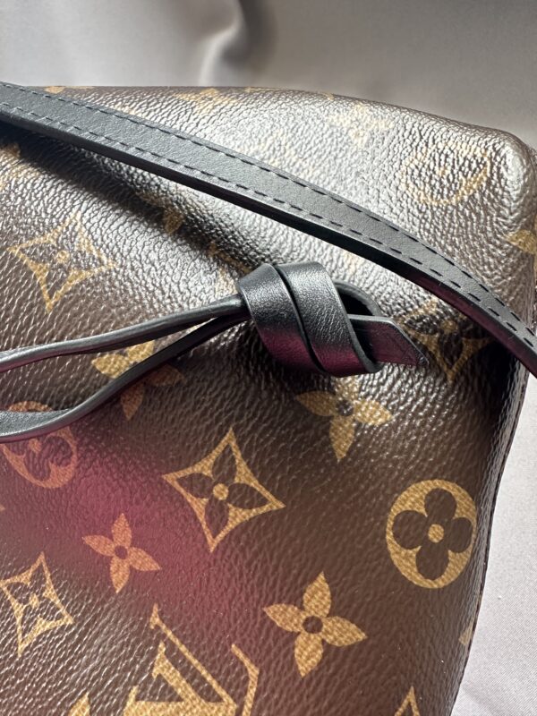 IMG_6318 Louis Vuitton NéoNoé MM (2019)
