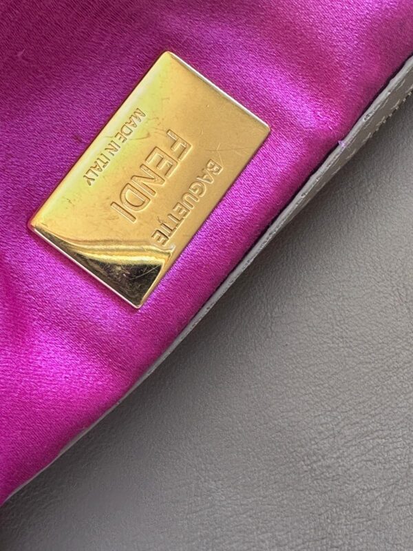 IMG_4538 Fendi Sex and the City Rose/Taupe Baguette (2023)