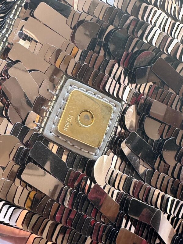 IMG_4544 Fendi Sex and the City Rose/Taupe Baguette (2023)