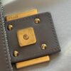 IMG_4547 Fendi Sex and the City Rose/Taupe Baguette (2023)