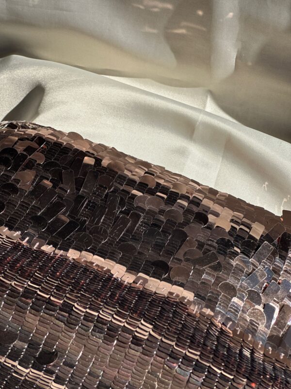IMG_4555 Fendi Sex and the City Rose/Taupe Baguette (2023)