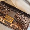 IMG_4578 Fendi Sex and the City Rose/Taupe Baguette (2023)