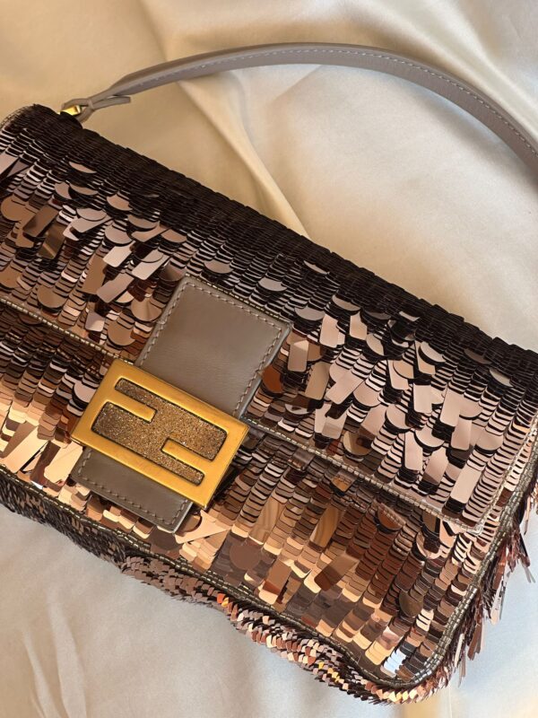 IMG_4578 Fendi Sex and the City Rose/Taupe Baguette (2023)