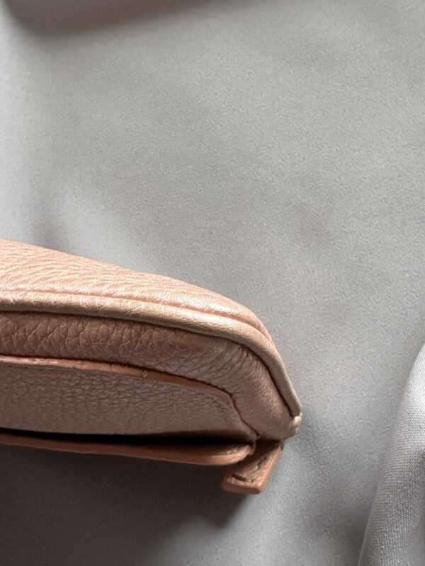IMG_7025 Fendi Selleria Pochette (2005)