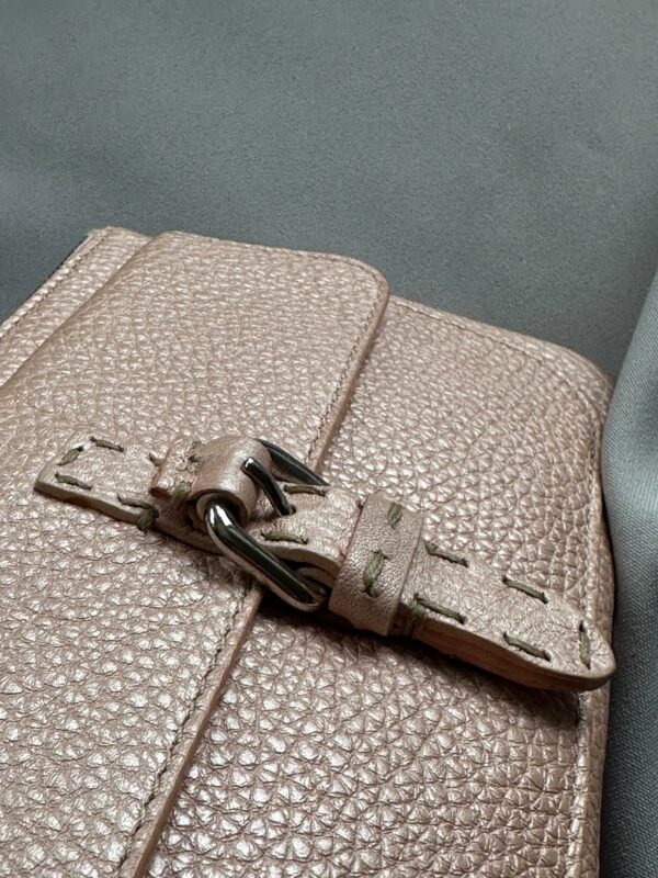 IMG_7028 Fendi Selleria Pochette (2005)