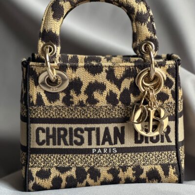 Christian Dior Mizza Embroidery Mini Lady Dior (2022)