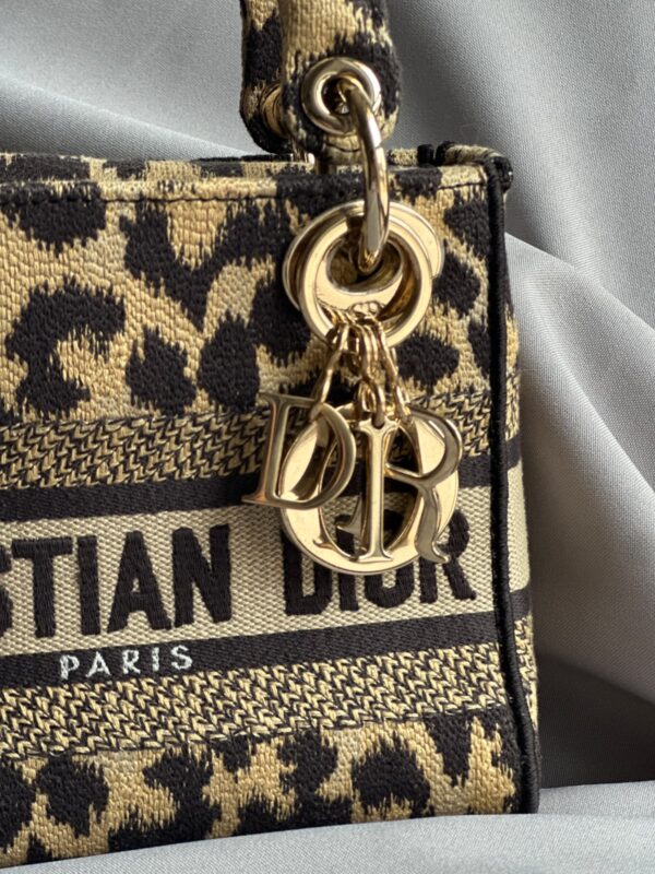 Christian Dior Mizza Embroidery Mini Lady Dior (2022)