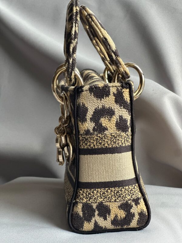 Christian Dior Mizza Embroidery Mini Lady Dior (2022)