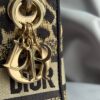 Christian Dior Mizza Embroidery Mini Lady Dior (2022)