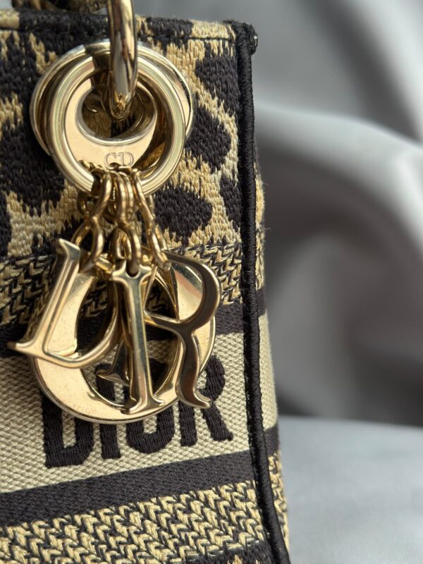 Christian Dior Mizza Embroidery Mini Lady Dior (2022)