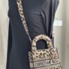 Christian Dior Mizza Embroidery Mini Lady Dior (2022)