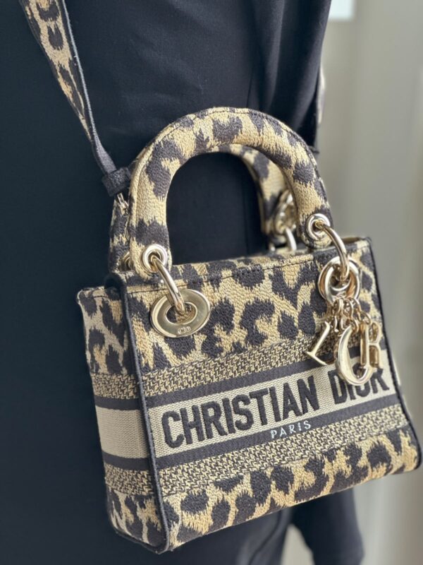 Christian Dior Mizza Embroidery Mini Lady Dior (2022)