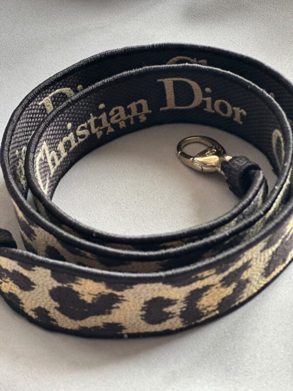 Christian Dior Mizza Embroidery Mini Lady Dior (2022)