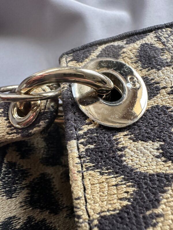 Christian Dior Mizza Embroidery Mini Lady Dior (2022)