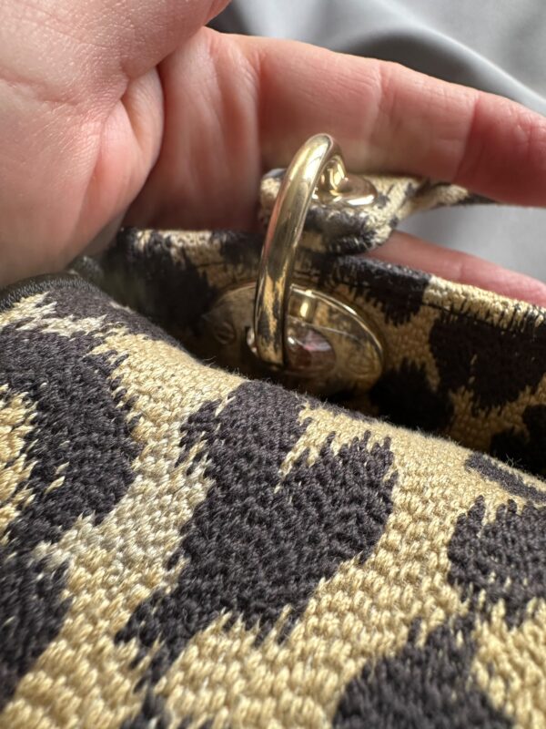 Christian Dior Mizza Embroidery Mini Lady Dior (2022)