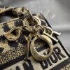 Christian Dior Mizza Embroidery Mini Lady Dior (2022)