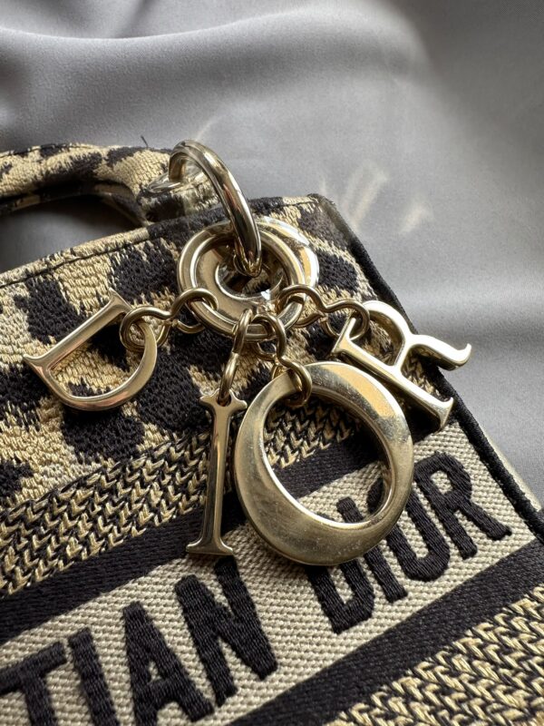 Christian Dior Mizza Embroidery Mini Lady Dior (2022)