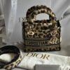 Christian Dior Mizza Embroidery Mini Lady Dior (2022)