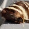 Fendi Skunk Fur Baguette (2000)